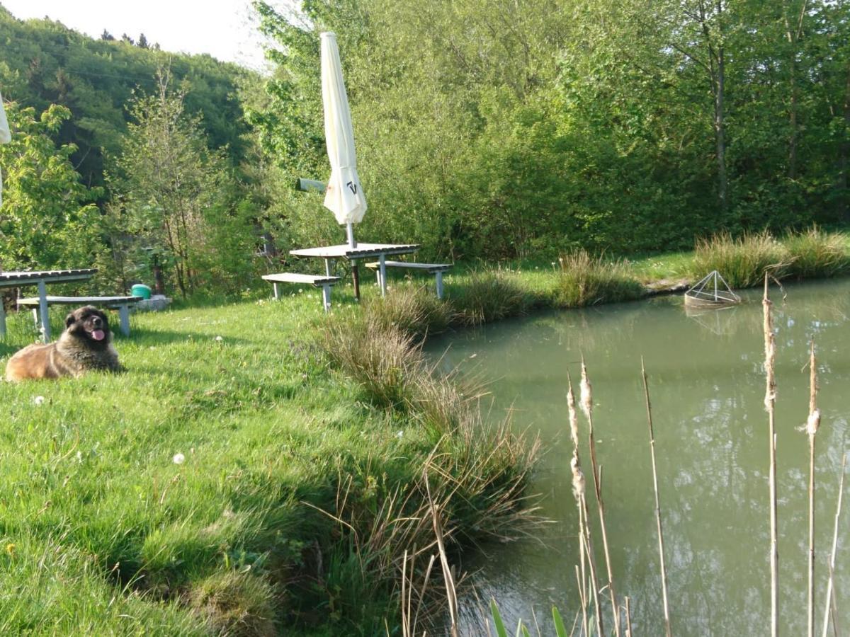 Ferienwohnung Hohe Acht Kaltenborn  Exteriér fotografie